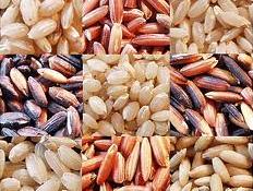 VFA: Xuất khẩu gạo đạt hơn 1 triệu tấn tính đến 21/3