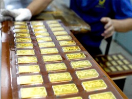 Giá sàn đấu thầu vàng miếng tiếp tục giảm