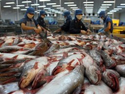 Vasep khởi kiện bộ Thương mại Mỹ về thuế chống bán phá giá cá tra