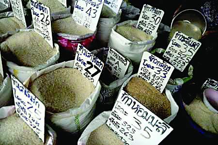 Thái Lan hoãn đấu thầu bán 500 nghìn tấn gạo do giá thấp