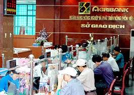 Agribank bất ngờ hạ lãi suất huy động xuống 5%