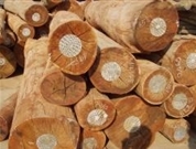 Việt Nam đứng đầu Đông Nam Á về xuất khẩu đồ gỗ
