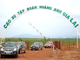 HAGL có nhận gỗ của chính phủ Lào trừ nợ hay không?