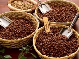 Giá cà phê Tây Nguyên lại giảm về 42,6 triệu đồng/tấn