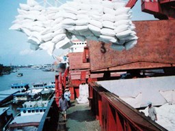 Kiến nghị áp đặt chỉ tiêu mua gạo tạm trữ cho doanh nghiệp