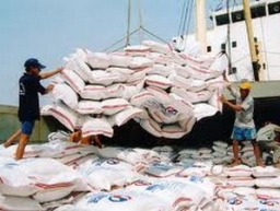 Xuất khẩu 3 triệu tấn gạo từ đầu năm đến nay