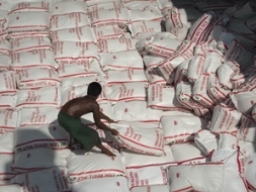 Thái Lan xem xét lại việc giảm giá mua gạo tạm trữ
