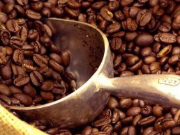 Bộ Tài Chính kiến nghị giải pháp cứu ngành cà phê