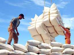 Xuất khẩu gạo Việt Nam không bị ảnh hưởng nhiều bởi quyết định của Thái Lan