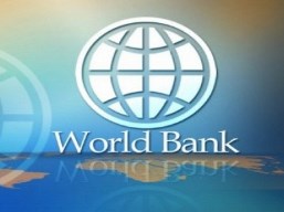 World Bank: Giá lương thực thế giới giảm tiếp trong 4 tháng qua