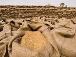 Indonesia sẽ nhập khẩu lúa mỳ nhiều nhất thế giới