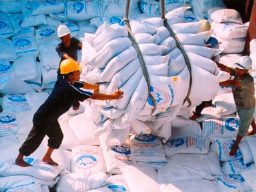 Thêm cơ hội bán gạo cho Indonesia