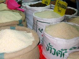 Chính phủ Thái Lan sẽ bán gạo dự trữ trực tiếp cho khách hàng nước ngoài