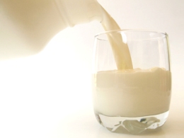 New Zealand: Sữa của Fonterra không gây ngộ độc