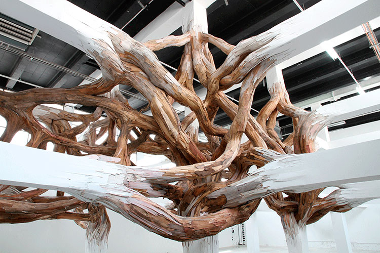 "Kiến trúc thực vật" trong nghệ thuật sắp đặt của Henrique Oliveira