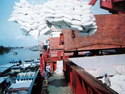 VFA: Xuất khẩu gạo tháng 11 thấp thứ ba kể từ đầu năm