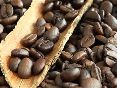 Giá cà phê Tây Nguyên giảm mạnh về 39,3 triệu đồng/tấn