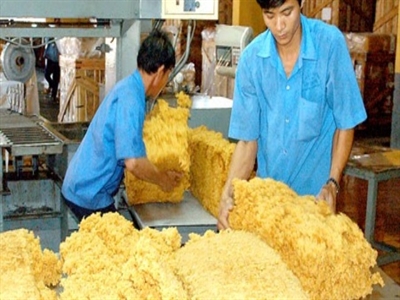 Doanh nghiệp cao su Tây Ninh gặp khó do hàng tồn, giá giảm