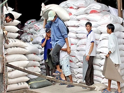 Xuất khẩu gạo đạt trên 351.000 tấn