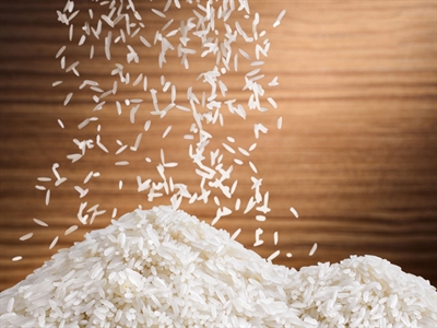 EU đã nhập 820.438 tấn gạo trắng, tăng 17%