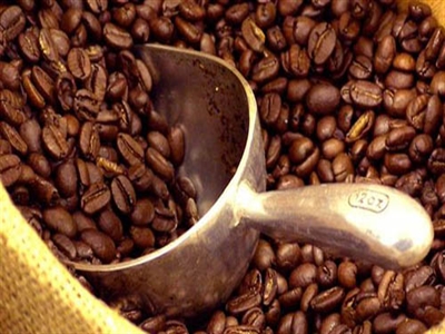 Giá cà phê cuối tháng tăng tưng bừng