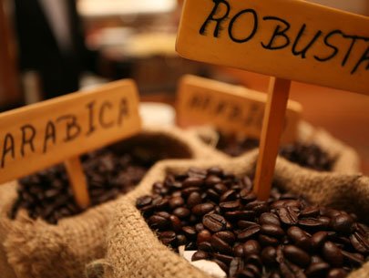 Giá cà phê Tây Nguyên tăng trở lại 38,9-39,8 triệu đồng/tấn
