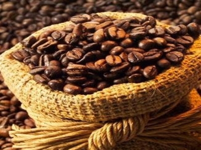 Giá cà phê Tây Nguyên tăng tiếp lên 39,5-40,3 triệu đồng/tấn