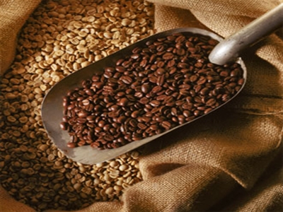 Giá cà phê Tây Nguyên đảo chiều giảm xuống 40,4-41 triệu đồng/tấn