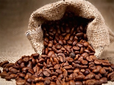 Giá cà phê Tây Nguyên giảm mạnh 1,8 triệu đồng xuống 38,6-39,3 triệu đồng/tấn