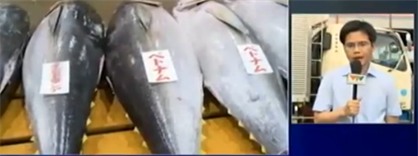 Lô cá ngừ đầu tiên của Việt Nam đấu giá tại Nhật Bản