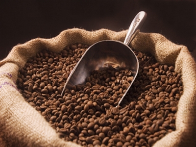 Giá cà phê Tây Nguyên tăng trở lại lên 38 - 39 triệu đồng/tấn