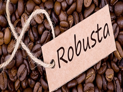 Giá cà phê Tây Nguyên giảm xuống 37,9 – 38,9 triệu đồng/tấn
