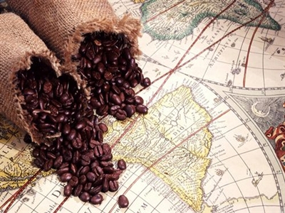 Volcafe: Thiếu cung cà phê sẽ cao nhất 9 năm