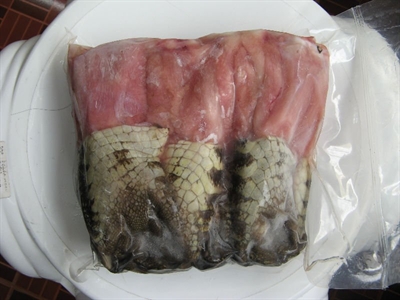 Nga nhập khẩu thịt cá sấu thay thế thịt bò và thịt lợn