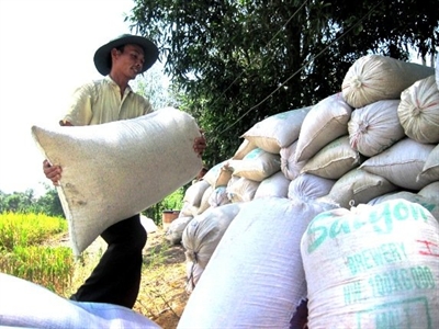 VFA dự báo xuất khẩu gạo trong năm 2015 sẽ khó khăn