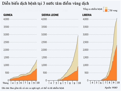 WHO: Số ca nhiễm mới Ebola có thể tăng lên 10.000 ca/tuần vào tháng 12