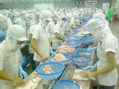 Thủy sản An Giang lãi 23,5 tỷ đồng trong quý III, gấp 2,7 lần cùng kỳ