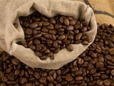 Giá cà phê Tây Nguyên tiếp tục tăng lên 40,3-41,2 triệu đồng/tấn