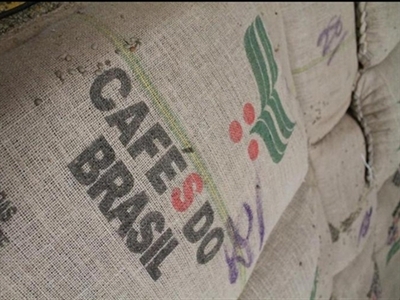 Giá cà phê arabica lên cao nhất 4 tuần do lo ngại thời tiết