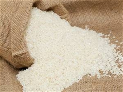 Chỉ số giá gạo toàn cầu FAO tháng 11 giảm xuống 232 điểm