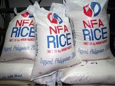 Philippines lên kế hoạch nhập khẩu 600.000 tấn gạo bù đắp thiệt hại của bão Hagupit