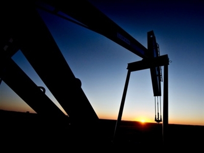 Goldman Sachs: Sản lượng dầu của Mỹ không giảm bất chấp giá tuột dốc