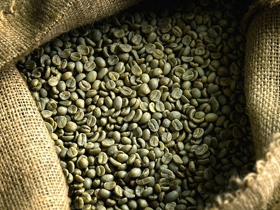 Giá cà phê Tây Nguyên giảm về 39,1-39,8 triệu đồng/tấn