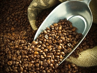 Giá cà phê Tây Nguyên tiếp tục giảm xuống 38,8-39,4 triệu đồng/tấn