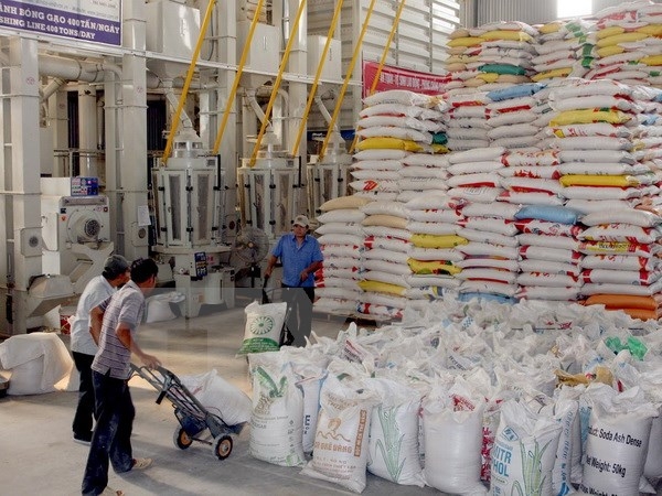 Hiệp hội Lương thực sẽ tiêu thụ hết lúa hàng hóa cho nông dân