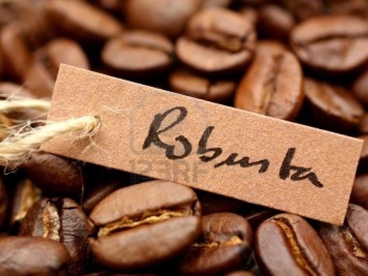 Sản lượng cà phê robusta toàn cầu niên vụ 2014-2015 giảm 3,6%
