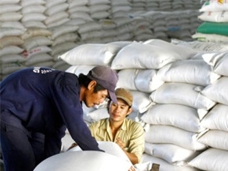 Xuất khẩu gạo Việt Nam 1/1-19/3 giảm 56%