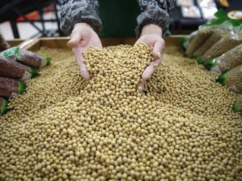 FAO: Giá thực phẩm thế giới thấp nhất kể từ 2009