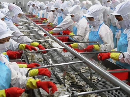Thủy sản Minh Phú phát hành 2.500 tỷ đồng trái phiếu cho Vietinbank