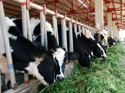 WB “rót” thêm 45 triệu USD cho ngành chăn nuôi, thực phẩm tại Việt Nam
